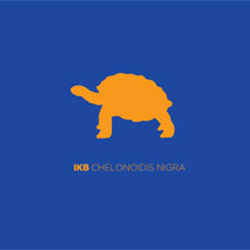 IKB: Chelonoidis Nigra (Creative Sources)