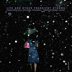 Silva / Anker / Sandell / Zetterberg / Falt: Life and Other Transient Storms