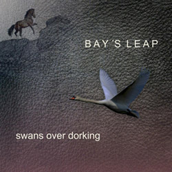 Bay's Leap: Swans Over Dorking (Citystream)