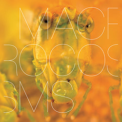 Banabila & Machinefabriek: Macrocosms (Tapu Records) Banabila & Machinefabriek: Macrocosms (Tapu Records)