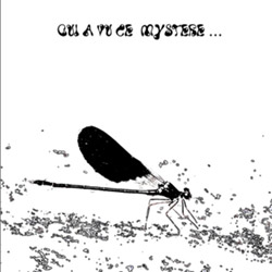 Brousseloux, Augustin / Jean-Marc Foussat / Quentin Rollet : Qui A Vu Ce Mystere... (Improvising Beings) Brousseloux, Augustin / Jean-Marc Foussat / Quentin Rollet : Qui A Vu Ce Mystere... (Improvising Beings)