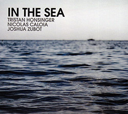 Honsinger, Tristan / Nicolas Calioa / Joshua Zubot: In The Sea (Relative Pitch)
