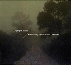 Wooley, Nate / Daniele Martini / Joao Lobo : Legacy of Ashes (Creative Sources)