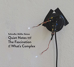 Schindler / Muller / Geisse: Quiet Notes and The Fascination of What's Complex [2 CDs] (Creative Sources)