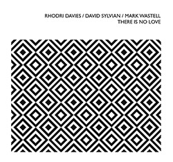 Davies, Rhodri / David Sylvian / Mark Wastell: There Is No Love (Confront)