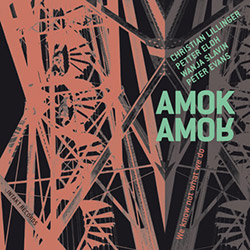 Amok Amor (Liilinger / Eldh / Slavin / Evans): We Know Not What We Do (Intakt)