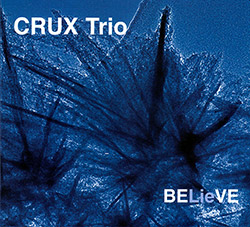 Crux Trio (Hanslip / Somervell / Gauden): BELieVE