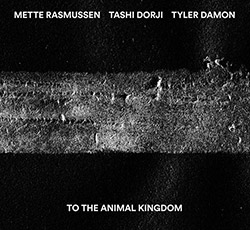 Rasmussen, Mette / Tashi Dorji / Tyler Damon: To The Animal Kingdom