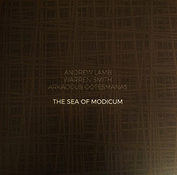 Lamb, Andrew / Warren Smith / Arkadijus Gotesmanas: The Sea of Modicum [VINYL] (NoBusiness)