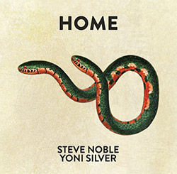 Steve Noble / Yoni Silver: Home (Aural Terrains)