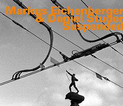 Markus Eichenberger & Daniel Studer: Suspended (hatOLOGY)