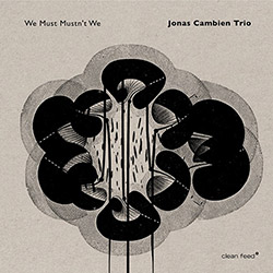 Cambien, Jonas Trio (w / Roligheten / Wildhagen): We Must Mustn't We (Clean Feed)