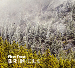 Brinicle (McCormick / Bjorgo / Antalova): First Frost (Creative Sources) Brinicle (McCormick / Bjorgo / Antalova): First Frost (Creative Sources)