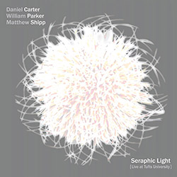 Carter, Daniel / William Parker / Matthew Shipp: Seraphic Light (Live At Tufts University)