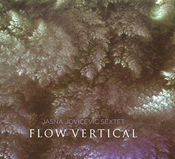 Jovicevic, Jasna Sextet: Flow Vertical