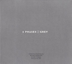 Rodrigues, Ernesto / Bruno Parrinha / Nuno Torres / Paulo Galao: 3 Phases (II) Grey