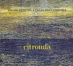 Mezei, Szilard Tul A Tiszan Innen Ensemble: Citromfa [2CDS]