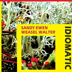 Sandy Ewen & Weasel Walter: Idiomatic (ugEXPLODE)