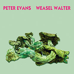 Peter Evans / Weasel Walter: Poisonous (ugEXPLODE)