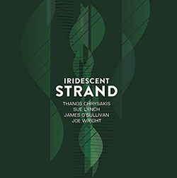 Thanos Chrysakis / Sue Lynch / James O'Sullivan / Joe Wright: Iridescent Strand (Aural Terrains)