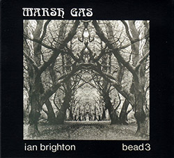 Brighton, Ian: Marsh Gas [REISSUE] (FMR)