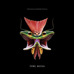 Buck, Tony / Massimo Pupillo: Time Being [VINYL] (Trost Records)