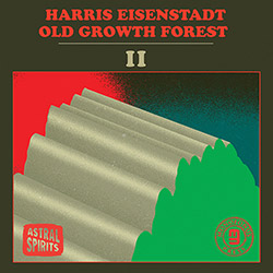 Eisenstadt, Harris (Malaby / Roebke / Bishop): Old Growth Forest II [CASSETTE with DOWNLOAD]