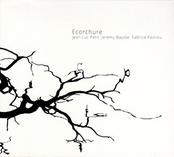 Petit, Jean-Luc / Jeremy Baysse / Fabrice Favriou: Ecorchure (Creative Sources)