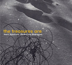 Sjostrom, Harri / Guilherme Rodrigues: The Treasures Are (Creative Sources)