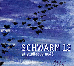 Schwarm 13: At Studioboerne45 (Creative Sources)