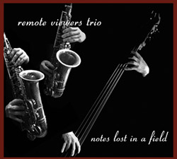 Remote Viewers Trio, The (Petts / Northover / Edwards): Notes Lost In A Field