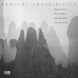 Carter, Daniel / Stelios Mihas / Irma Nejando / Federico Ughi: Radical Invisibility (577 Records)