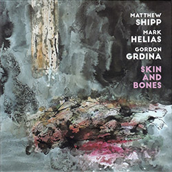 Shipp, Matthew / Mark Helias / Gordon Grdina: Skin and Bones (Not Two)