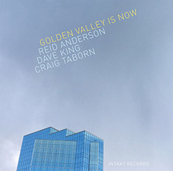 Anderson, Reid / Dave King / Craig Taborn: Golden Valley is Now