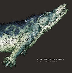 From Wolves To Whales (Dave Rempis / Nate Wooley / Chris Corsano / Pascal Niggenkemper) : Dead Leave (Dropa Disc)