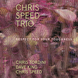 Speed, Chris Trio (w/ Tordini / King): Respect For Your Toughness (Intakt)