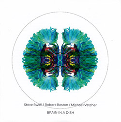 Swell, Steve / Robert Boston / Michael Vatcher: Brain In A Dish (NoBusiness)