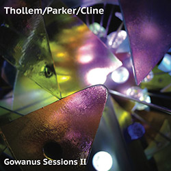 Thollem / Parker / Cline: Gowanus Sessions II (ESP)