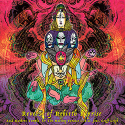 Acid Mothers Temple and the Melting Paraiso: Reverse of Rebirth Reprise (MVD)