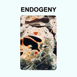 Montgomery, Gen Ken: Endogeny [CASSETTE]