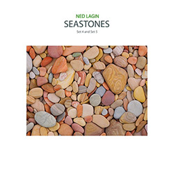 Lagin, Ned: Seastones: Set 4 and Set 5  [BLUE VINYL RSD] (Important Records)