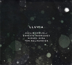 Skrijelj / Rodrigues / Mira / Malmendier: lluvia