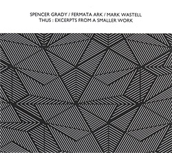 Grady, Spencer / Fermata Ark / Mark Wastell: Thus : Excerpts From A Smaller Work (Confront)