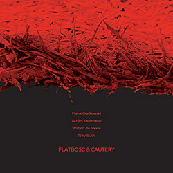 Gratkowski, Frank / Achim Kaufmann / Wilbert de Joode / Tony Buck: Flatbosc & Cautery