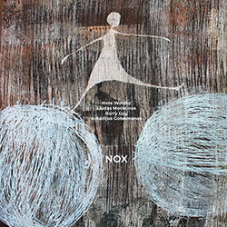 Wooley, Nate / Liudas Mockunas / Barry Guy / Arkadijus Gotesmanas: NOX [VINYL]