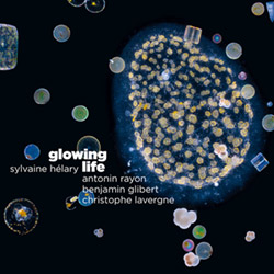 Helary / Rayon / Gilbert / Lavergne: Glowing Life (Ayler)