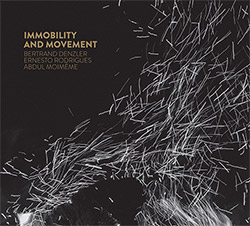 Bertrand Denzler / Ernesto Rodrigues / Abdul Moimeme: Immobility And Movement (Creative Sources)