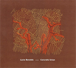 Bonaldo, Lucio: Concrete Union (Creative Sources)