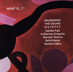 Wandering The Sound Quintet (Satoko Fujii / Guillermo Gregorio / Natsuki Tamuyra / Rafat Mazur / Ram (Not Two) Wandering The Sound Quintet (Satoko Fujii / Guillermo Gregorio / Natsuki Tamuyra / Rafat Mazur / Ram (Not Two)