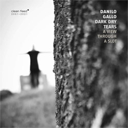 Gallo, Danilo Dark Dry Tears (Gallo / Milesi / Bigoni / Black / feat: Lorenzo Corti): A View Through (Clean Feed)